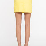 Micro Skirt