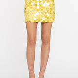Micro Skirt