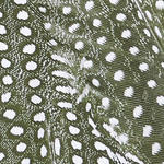 Close-up of a bird feather with a dark background and numerous small white spots, creating a speckled pattern reminiscent of the distinct look found on the Praia Bottom—a triangle bikini bottom with adjustable side ties crafted from recycled nylon.