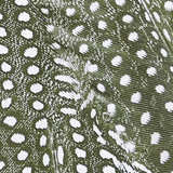 Close-up of a bird feather with a dark background and numerous small white spots, creating a speckled pattern reminiscent of the distinct look found on the Praia Bottom—a triangle bikini bottom with adjustable side ties crafted from recycled nylon.