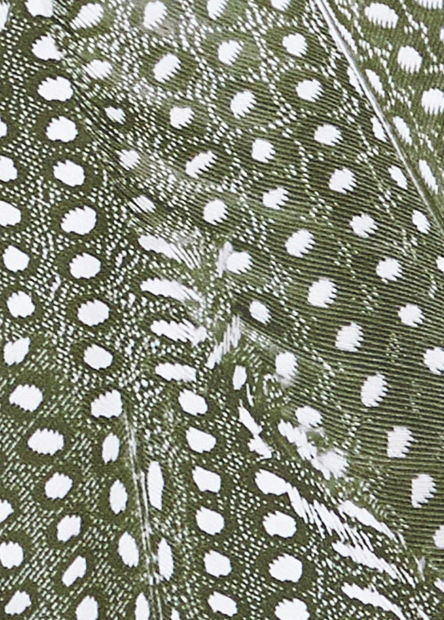 Close-up of a bird feather with a dark background and numerous small white spots, creating a speckled pattern reminiscent of the distinct look found on the Praia Bottom—a triangle bikini bottom with adjustable side ties crafted from recycled nylon.