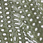 Close-up of a bird feather with a dark background and numerous small white spots, creating a speckled pattern reminiscent of the distinct look found on the Praia Bottom—a triangle bikini bottom with adjustable side ties crafted from recycled nylon.