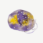 KABE SHOP INC Wika crochet hat in purple and yellow tie-dye featuring decorative white seashells and a chin strap.