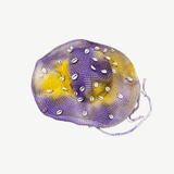 KABE SHOP INC Wika crochet hat in purple and yellow tie-dye featuring decorative white seashells and a chin strap.