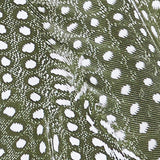 Close-up of a feather with a pattern of white spots on a dark background, reminiscent of the intricate designs featured on the Equator Top Swimwear. The soft texture and evenly distributed spots evoke the stylish aesthetic often found in this recycled nylon triangle bikini top.